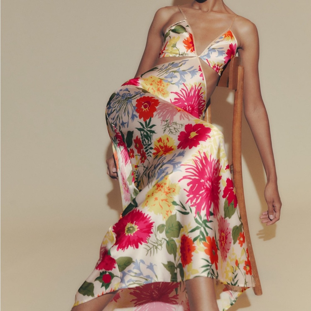 NWOT - Reformation Poppies Silk Dress
